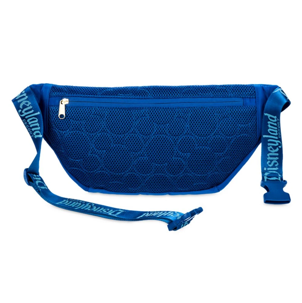 Disneyland Belt Bag 4 Disneyland Belt Bag - Image 2