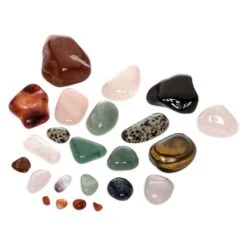 Disney Hobby Rock Tumbler – National Geographic 10 Disney Hobby Rock Tumbler – National Geographic -toy 6103105633212 3